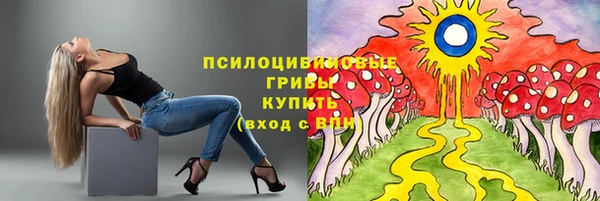 2c-b Белокуриха