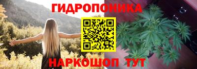 spice Малоярославец