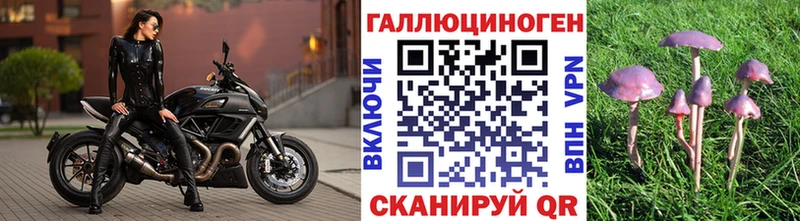 Галлюциногенные грибы Psilocybe  Вязьма 